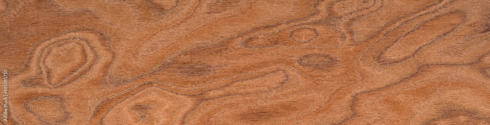 Obraz premium Elm burl veneer surface with a mesmerizing array of cinnamon swirls and deep amber accents