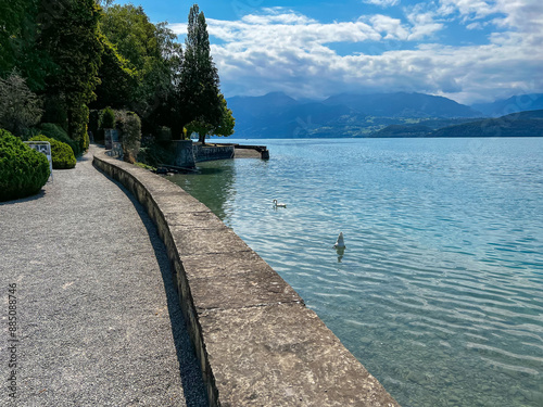 Swans on a Swiss Lake photo