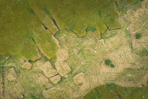 Estonian nature. Karst zone in a Kostivere in dry summer, aerial photo. photo