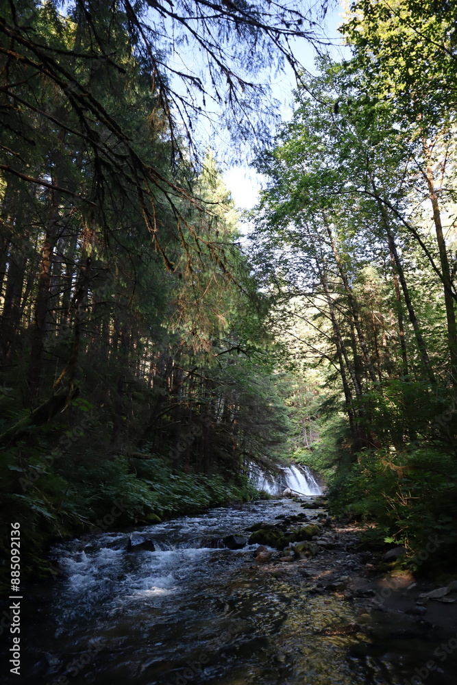minimal sun brightening river with rocks from waterfall with luscious forest surrounding minimal sun brightening river with rocks from waterfall with luscious forest surrounding