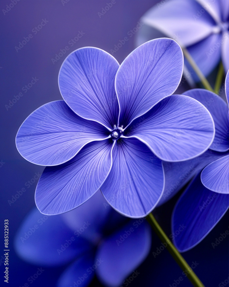 blue hydrangea flower blue hydrangea flower