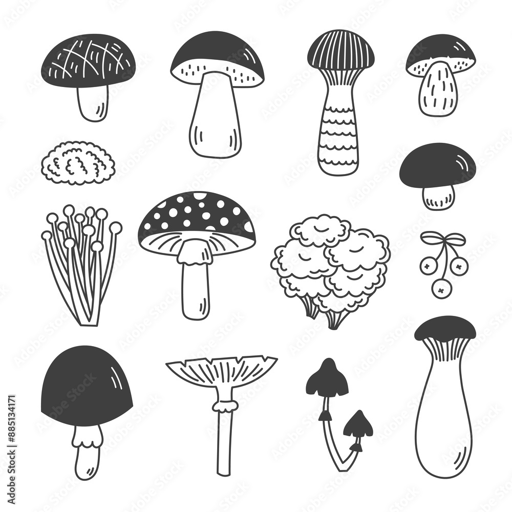 Mushrooms Doodle Set. Hand drawn Forest Fungus collection. Cep Boletus Amanita Fly Agaric Oyster Champignon Matsutake Eringi Enoki Hand drawn icons. Vector illustration Mushrooms Doodle Set. Hand drawn Forest Fungus collection. Cep Boletus Amanita Fly Agaric Oyster Champignon Matsutake Eringi Enoki Hand drawn icons. Vector illustration