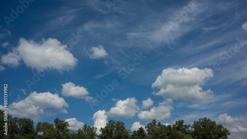 Tops of the Tree and White Clouds and the Bblue Sky.