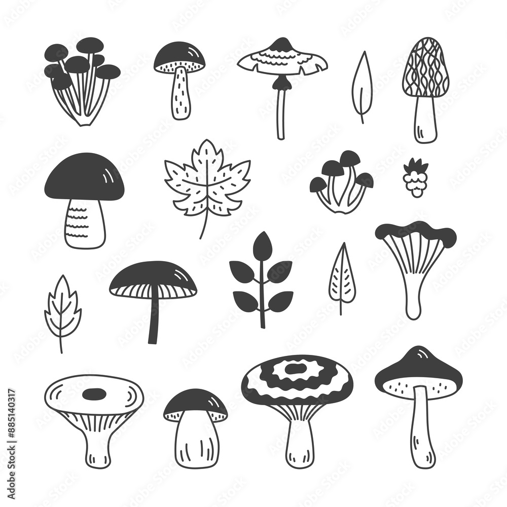 Mushroom and Fungus Doodle Set. Hand drawn edible forest elements. Cep Boletus Agaric Honey Coral Milky cap Chanterelle Morel. Isolated vector illustration Mushroom and Fungus Doodle Set. Hand drawn edible forest elements. Cep Boletus Agaric Honey Coral Milky cap Chanterelle Morel. Isolated vector illustration