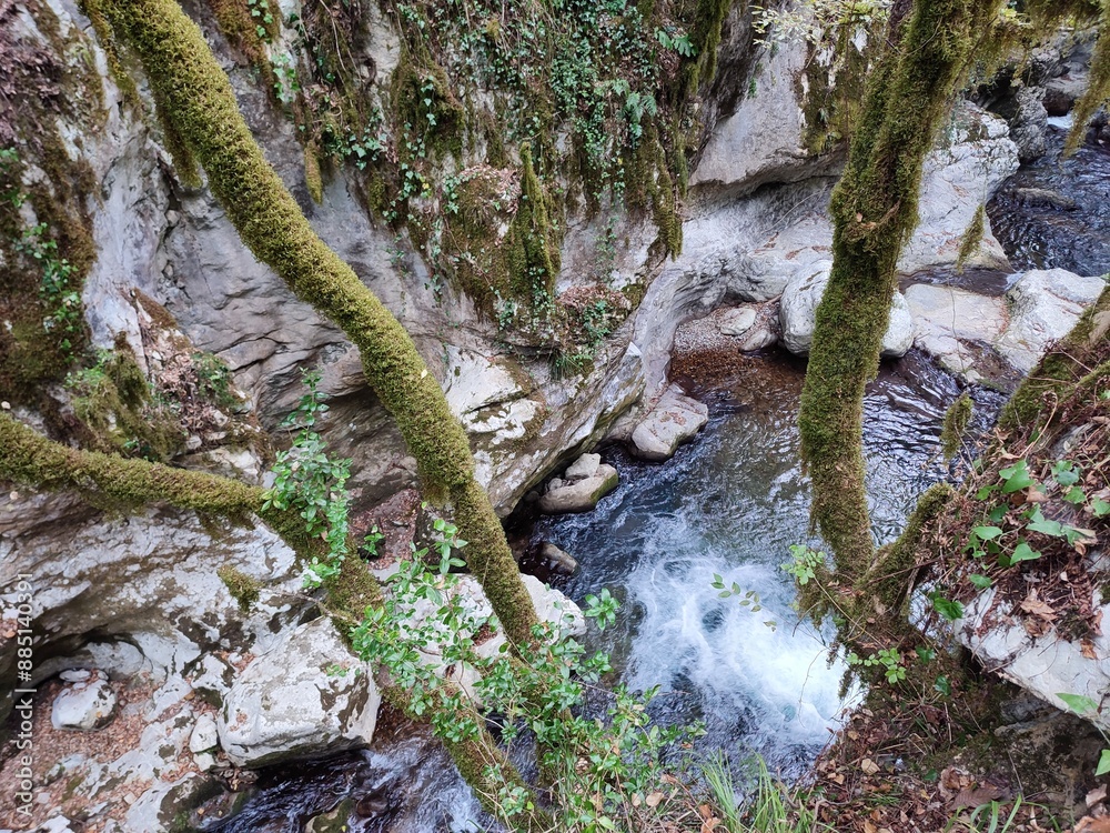 Morigerati - Fiume Bussento alla Stazione di Muschio dell'oasi