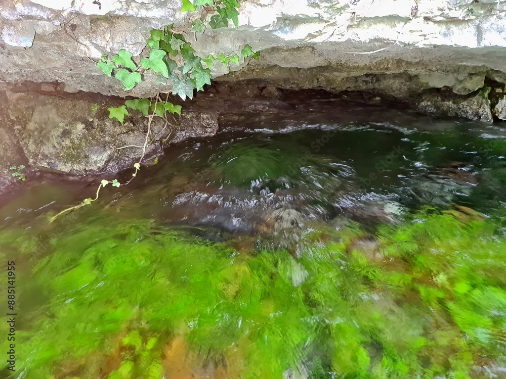 Morigerati - Sorgente d'acqua sul mulino dell'oasi WWF