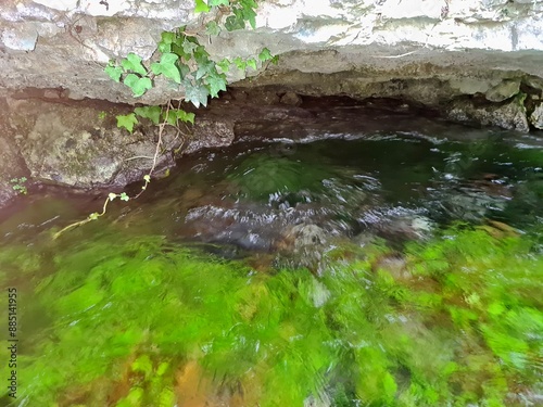 Obraz na płótnie Morigerati - Sorgente d'acqua sul mulino dell'oasi WWF w salonie