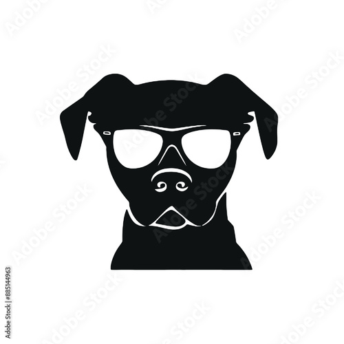 dog wearing glasses