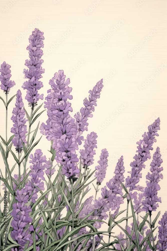 Naklejka premium An isolated lavender flower backgrounds blossom.