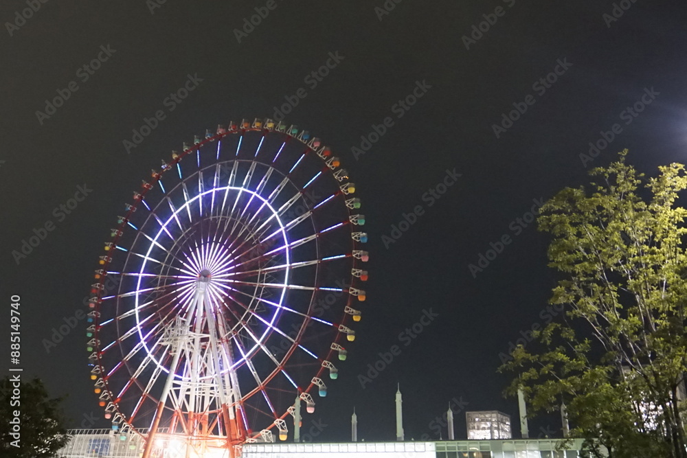 Ferris Wheel at night Ferris Wheel at night