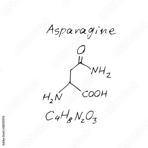 Принти на полотні Asparagine C4H8N2O3 molecule formula