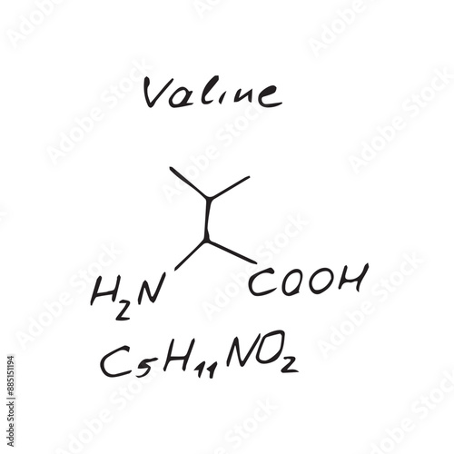 Valine C5H11NO2 molecule formula. Hand drawn imitation of valine structural model