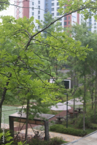 Wallpaper Mural 나무들과 공원 Torontodigital.ca