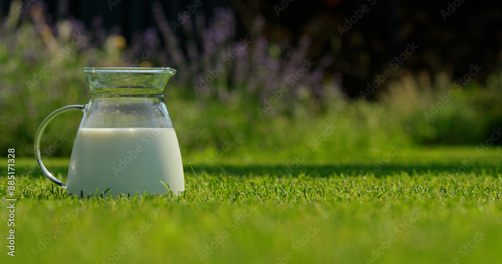 Pitcher of cold milk on the lawn in the backyard of a house Pitcher of cold milk on the lawn in the backyard of a house
