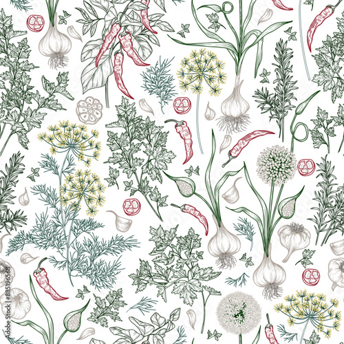 Seamless vector pattern of herbs and spices. Dill, chili pepper, parsley, rosemary, garlic