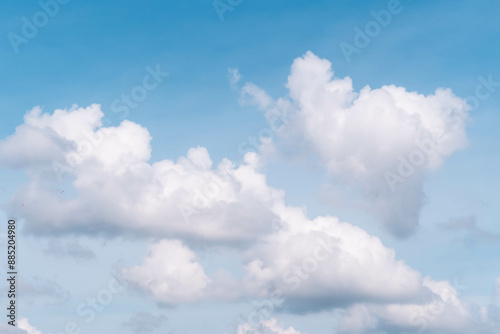 Beautiful panoramic landscape with the blue cloudy.