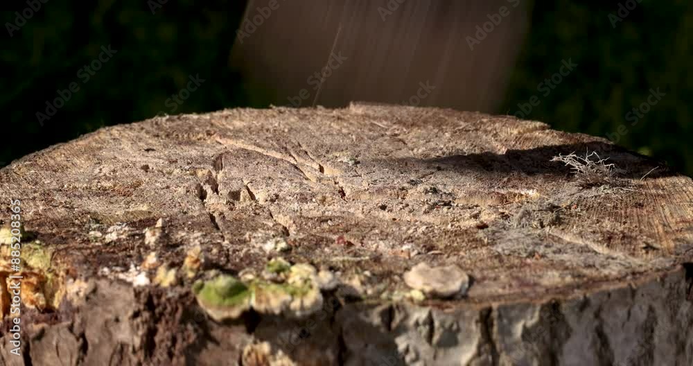 Sticking an axe into a deck, close-up, slow motion.