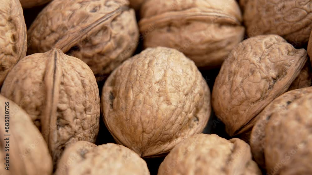 Many organic walnuts with intricate shell patterns and brown textures close up. Rotation Many organic walnuts with intricate shell patterns and brown textures close up. Rotation