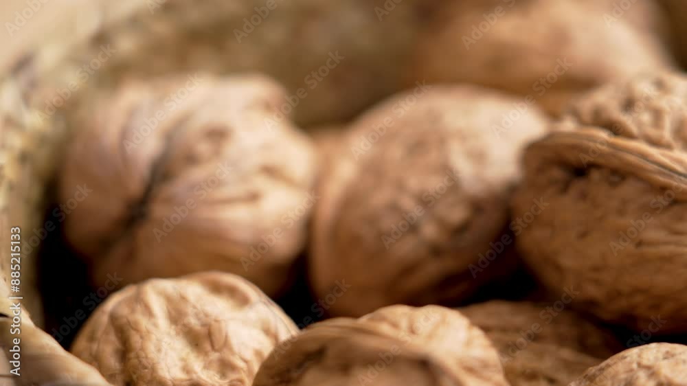 A gourmet hand takes a whole delicious walnut to crack closeup from a rustic wicker bowl. Organic nutritious nuts with textured shell. Macro shot A gourmet hand takes a whole delicious walnut to crack closeup from a rustic wicker bowl. Organic nutritious nuts with textured shell. Macro shot