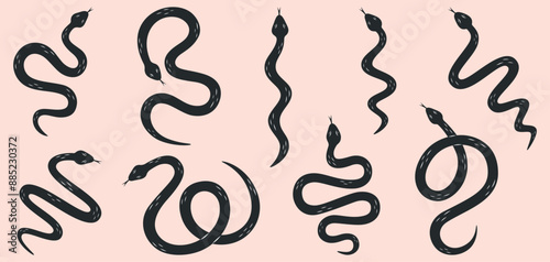 Snake silhouettes set. Black and white color textured hand drawn snakes with different shapes. Wild animals or nature theme. Symbol of 2025 New Year. Vector illustration. 