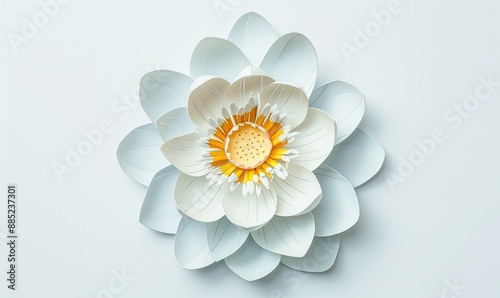 Illustrate a blooming lotus flower seen from above, set against a clean white background. Emphasize the intricate details of the petals and the symmetrical beauty of the flower