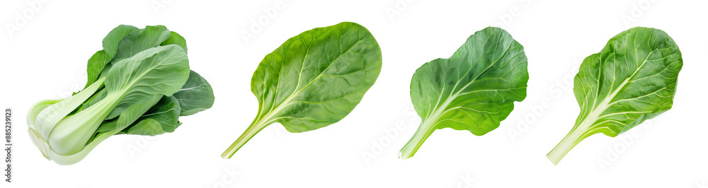 Collection of green Bok Choy with leaves isolated on background, Flat lay view of Fresh salad vegetables, healthy with organic food. Collection of green Bok Choy with leaves isolated on background, Flat lay view of Fresh salad vegetables, healthy with organic food.