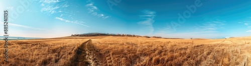 A Winding Path Through a Golden Field