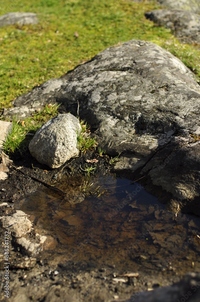 Dirty puddle water on some grey moss-covered rocks and green grass in the background. Old fallen leaves in the bottom of the puddle. Sun is shining, daytime. Dirty puddle water on some grey moss-covered rocks and green grass in the background. Old fallen leaves in the bottom of the puddle. Sun is shining, daytime.