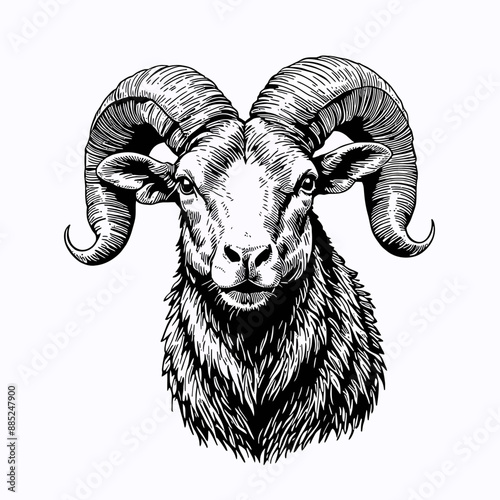 Ram's Horns: A Black and White Illustration of a Ruminant Animal