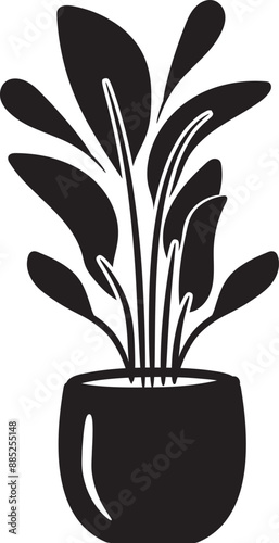 House plant illustration Iconic taro plant in a pot