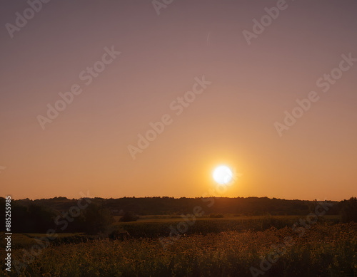 sunset in the field