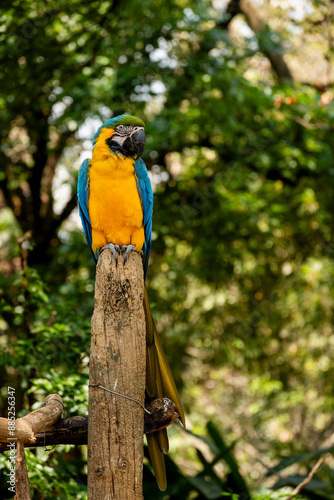 2024-Colombie-0146