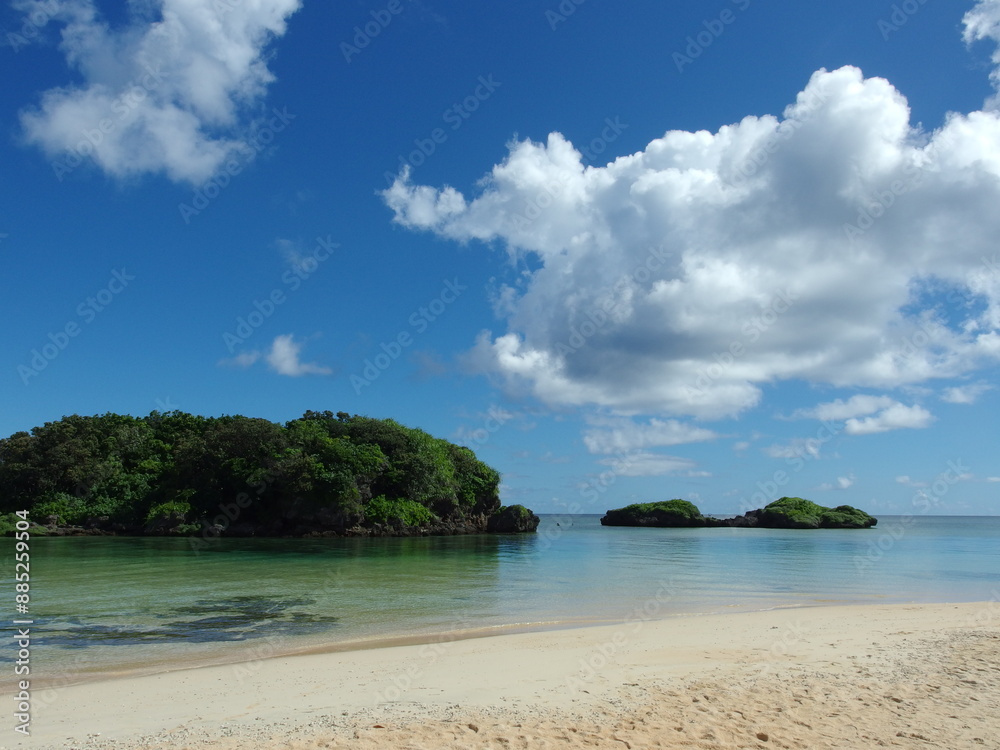 Fototapeta premium 夏雲 西表島 星の砂浜