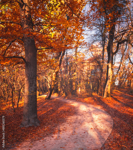 Nice autumnal scene in the ...