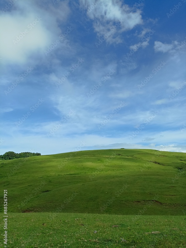 green field and blue sky green field and blue sky