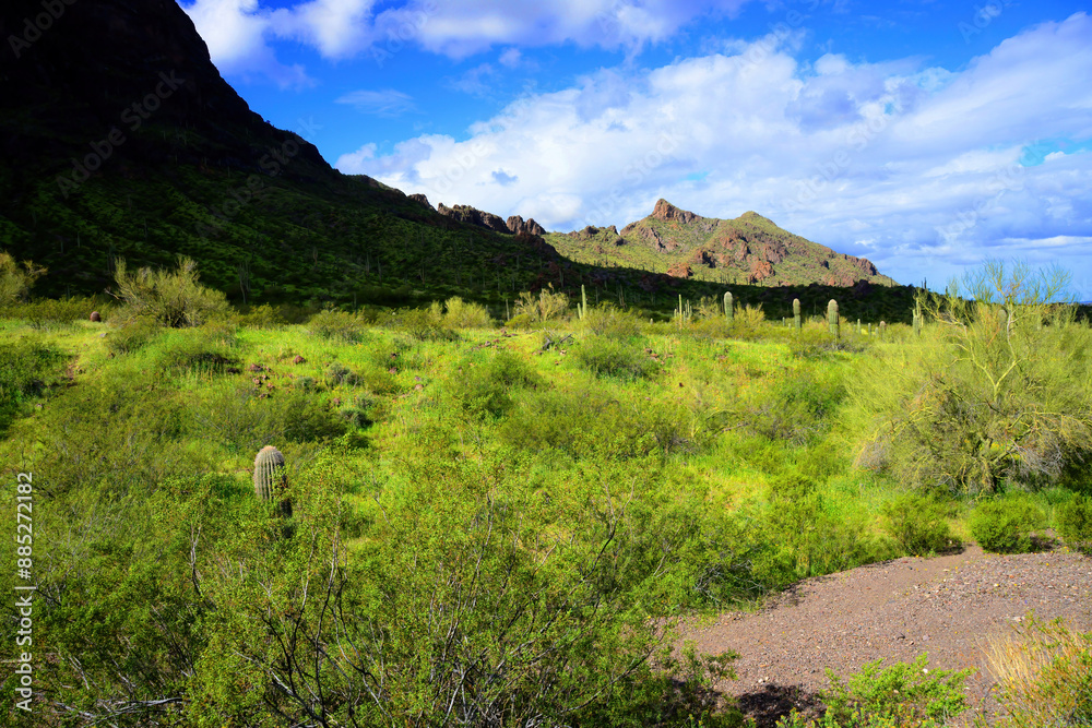 Sonora Desert Arizona Picacho Peak State Park Sonora Desert Arizona Picacho Peak State Park