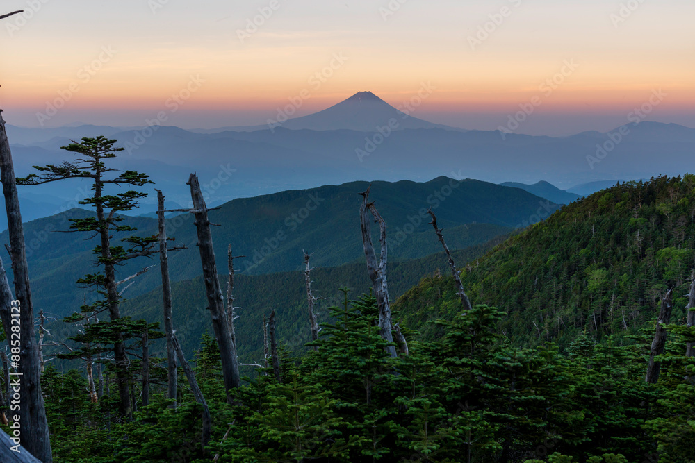 Fototapeta premium 夏の国師ヶ岳から夜明けの富士山