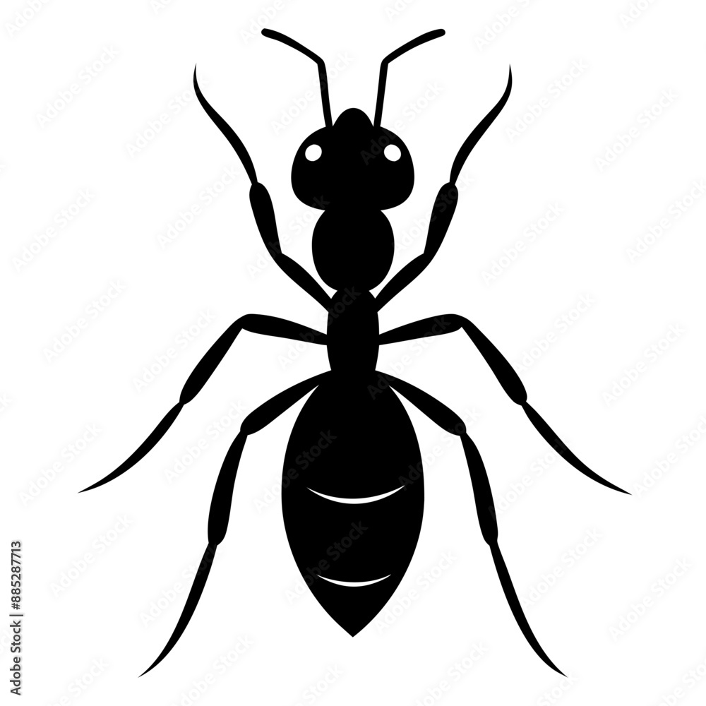 illustration of a ant