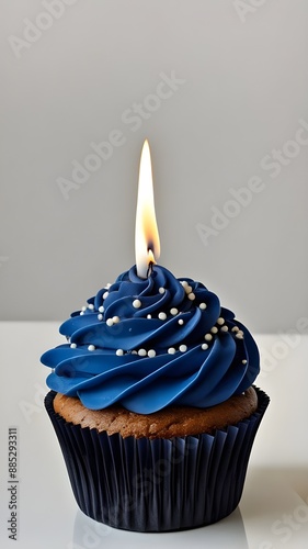 navy color Cupcake