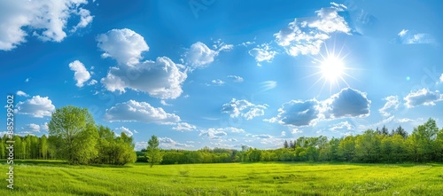 Summertime Meadow with Bright Blue Sky and Sun