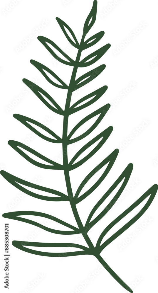 Fototapeta premium fern line illustration organic design