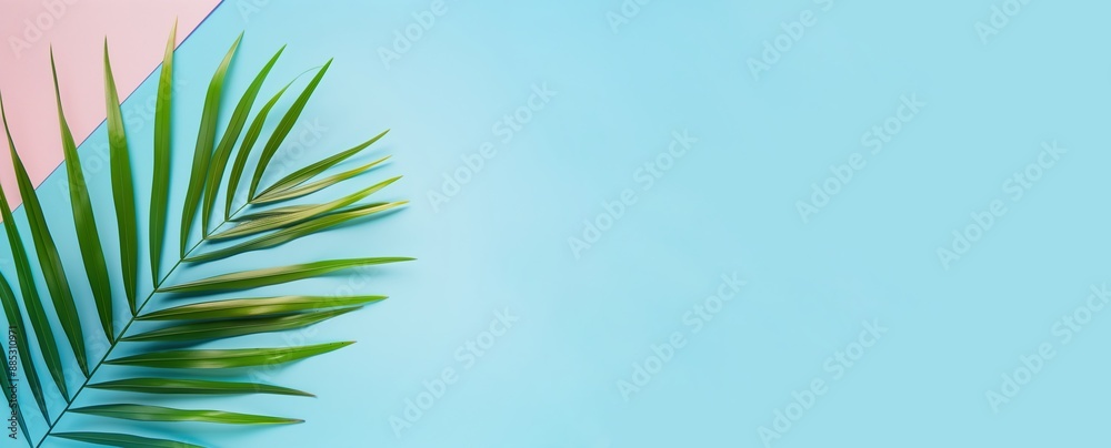 Fototapeta premium Palm leaf on a pastel blue background. Summer atmosphere, bright background, sunny summer. Advertising concept for cosmetics, information, stories. Copy space. Place for text.