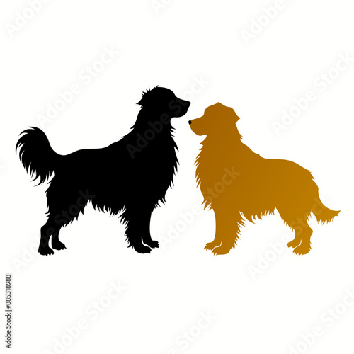 a golden retriever and border collie in silhouette on a white background (30)