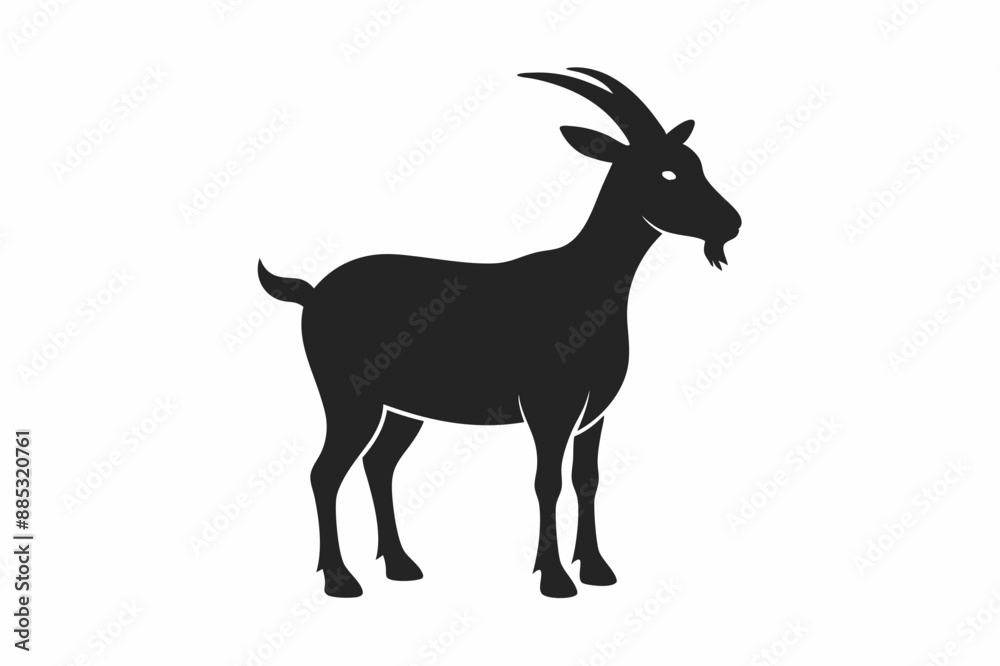 goat isolated on white
