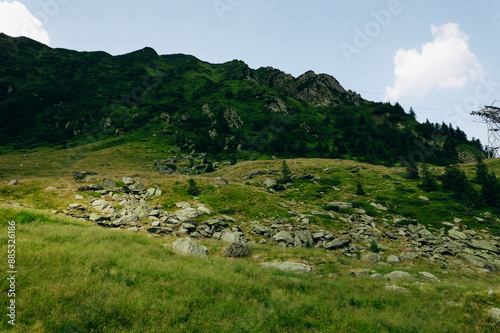 Beautiful aerial summer view of the forest in the mountains and valley or hills. 