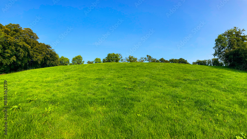 Vibrant Green Field Under Clear Blue Sky, Perfect for Text Overlay Vibrant Green Field Under Clear Blue Sky, Perfect for Text Overlay