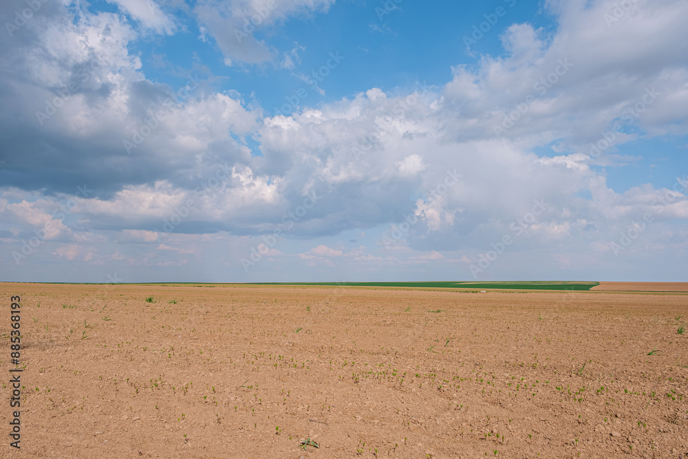 Grain Field. Newly cultivated farmland under a cloudy blue sky. Clouds above agricultural land. Grain Field. Newly cultivated farmland under a cloudy blue sky. Clouds above agricultural land.