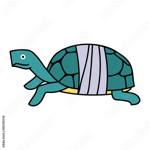 injured tortoise shell carapace hand drawn color vector illustration