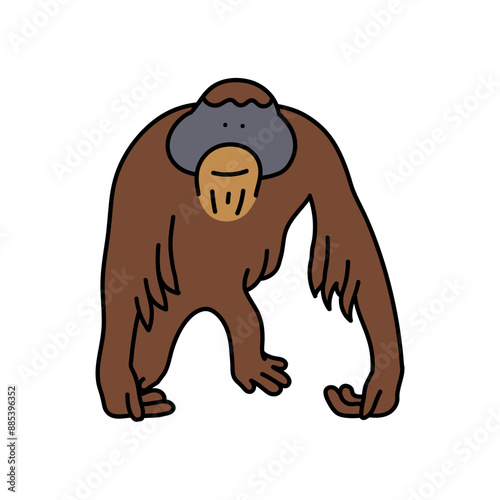 orangutan hand drawn color vector illustration
