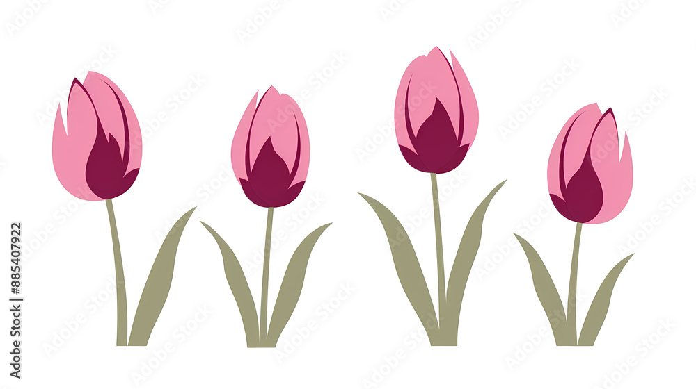 row of purple tulips - isolated on a background. row of purple tulips - isolated on a background.
